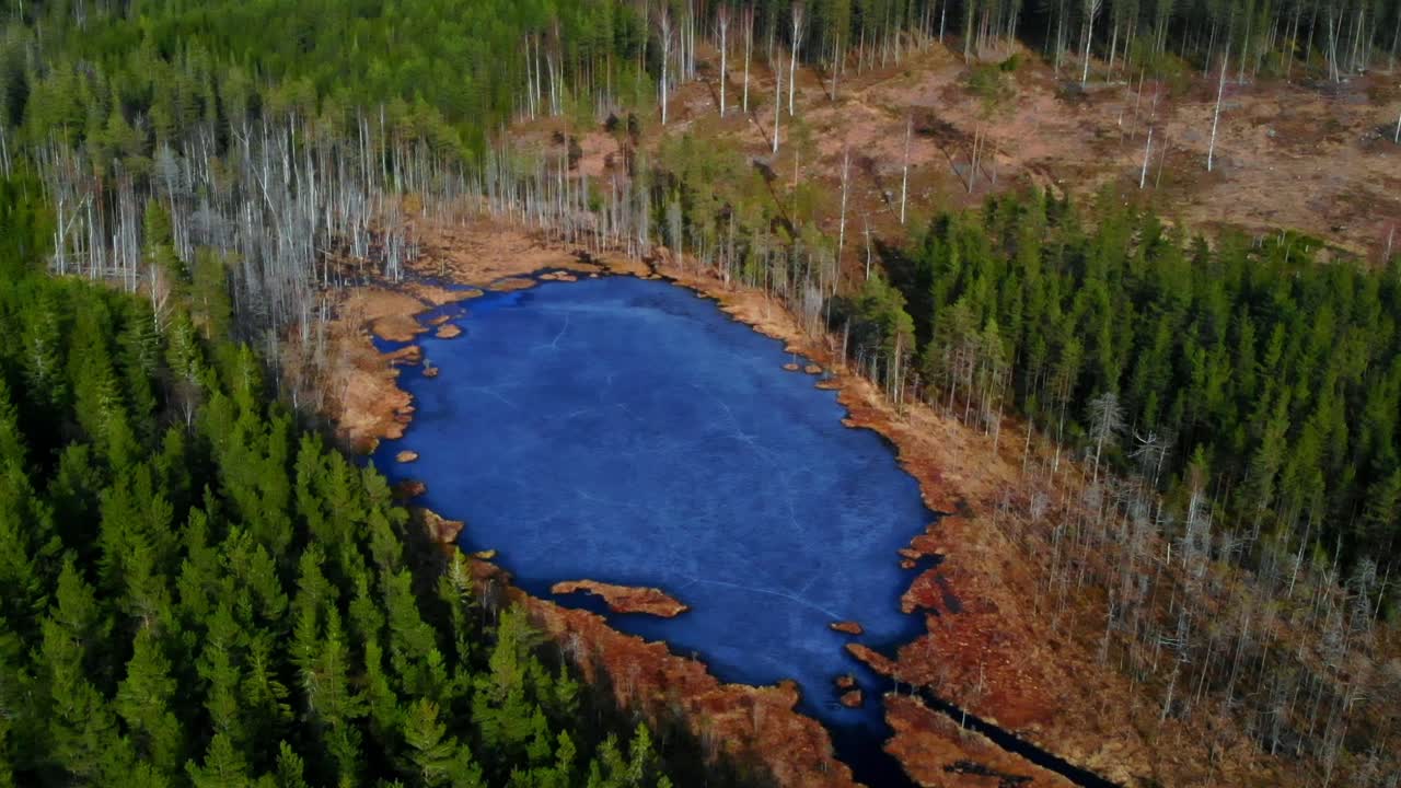 Ripresa con drone di uno stagno ghiacciato in mezzo al bosco in Svezia