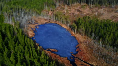 drone shot of a frozen pond in the middle of the woods in sweden