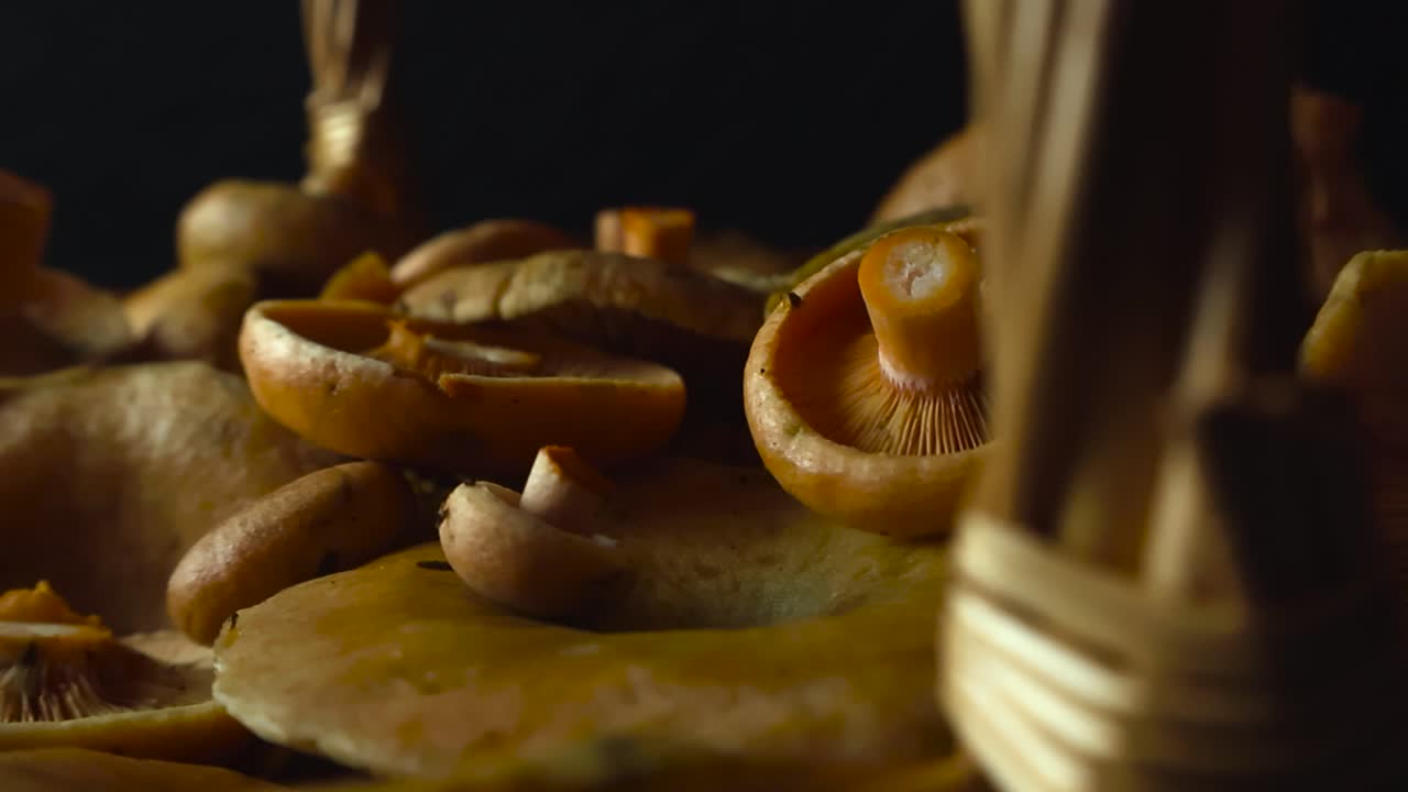 Close up view gliding in front of Orange Milkcap mushroom in a traditional woven brown and yellow colored basket that is placed in front of a black studio background. Freshly cut and shallow depth