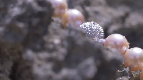 toma cinematográfica reveladora de un collar de perlas en roca con una joyería de plata slomo 120 fps