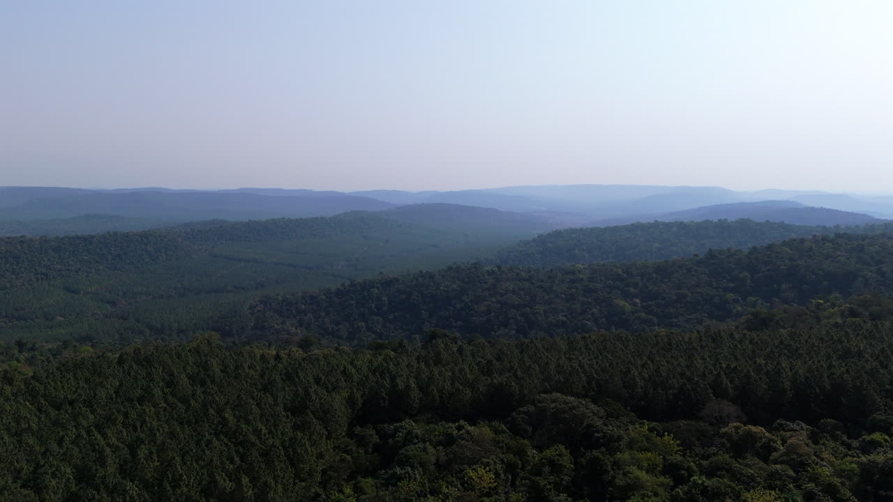 Aerial view of lush subtropical forest in South America, Argentina, Misiones jungle