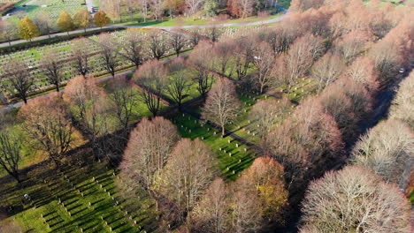 aerial view of cemetery graveyard with tombstones in sweden, kvibergs kyrkogård or kviberg, gothenburg