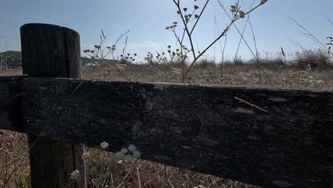 The-wood-of-the-old-and-worn-railing-separates-the-area-from-the-field-with-dry-grass-and-sandy-soil-near-the-sea-in-summer-drought,-close-up-shot-traveling-to-the-right,-Pontevedra,-Galicia,-Spain