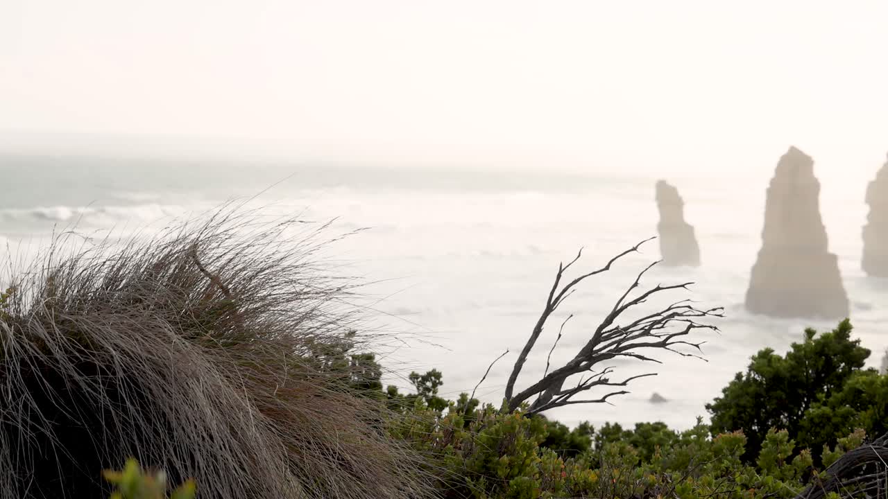 바람이 불고 있는 해안 풍경과 상징적인 바위 형태