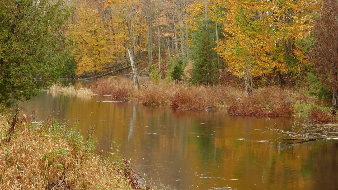 vista romántica de un río que fluye a través de un paisaje boscoso de otoño con tonos de naranja en un día tranquilo