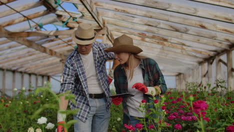 modern small flower growing business. colleagues florists work together with tablet computers in a greenhouse. 2 modern gardeners inspect flower buds together