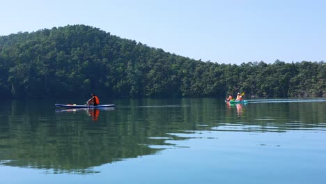 group of kayakers paddling in calm waters