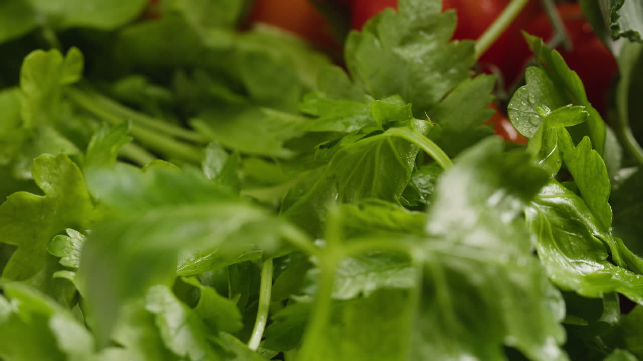 Close Up of Fresh Parsley Revealing Red Cherry Tomatoes