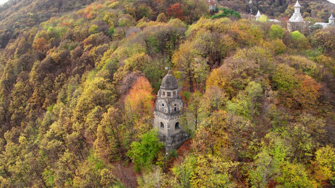 Autumnal Forest with Towering Architecture