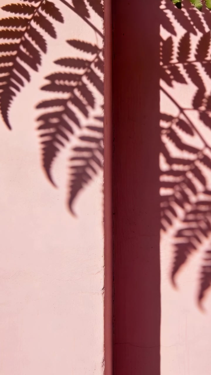 Vertical video: Sunlight casting fern shadows while maroon post staying still on pale pink wall