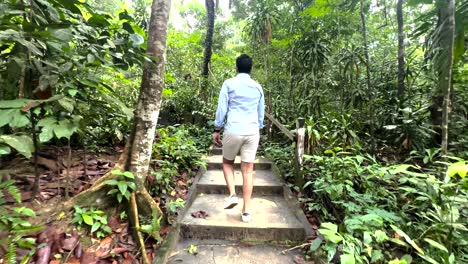 Lone-Man-Walking-Over-Concrete-Pathways-Inside-Windsor-Nature-Park-In-Singapore