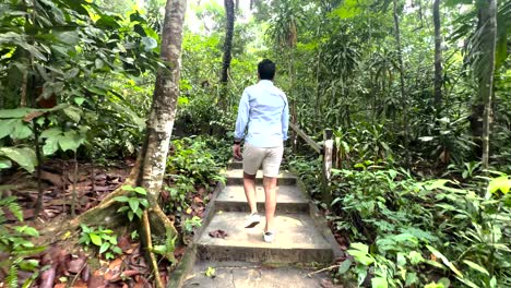 lone man walking over concrete pathways inside windsor nature park in singapore