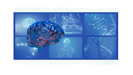 animación de cerebro giratorio en 3d con pantallas científicas