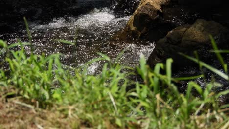 Crystal-clear-fresh-mountain-waterfall-crocodile-river-water-sparkling-and-flowing-over-rocks-and-pebbles-in-the-background-at-the-walter-sisulu-national-botanical-gardens-in-roodepoort,-South-Africa