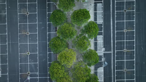 Toma-Aérea-Superior-Sobre-árboles-En-Un-Lugar-De-Estacionamiento-Montpellier.