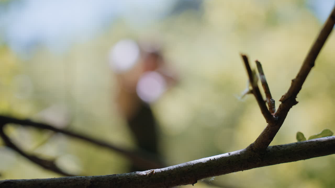 Foggy view of young man wearing headband among dappled forest light, clear focus on diagonal tree branch in foreground, blurred background with bubbles of light and leafy canopy overhead