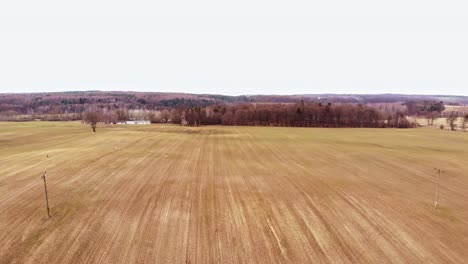 panorama of vacant landscape in buszkowy gorne in gdansk county, poland