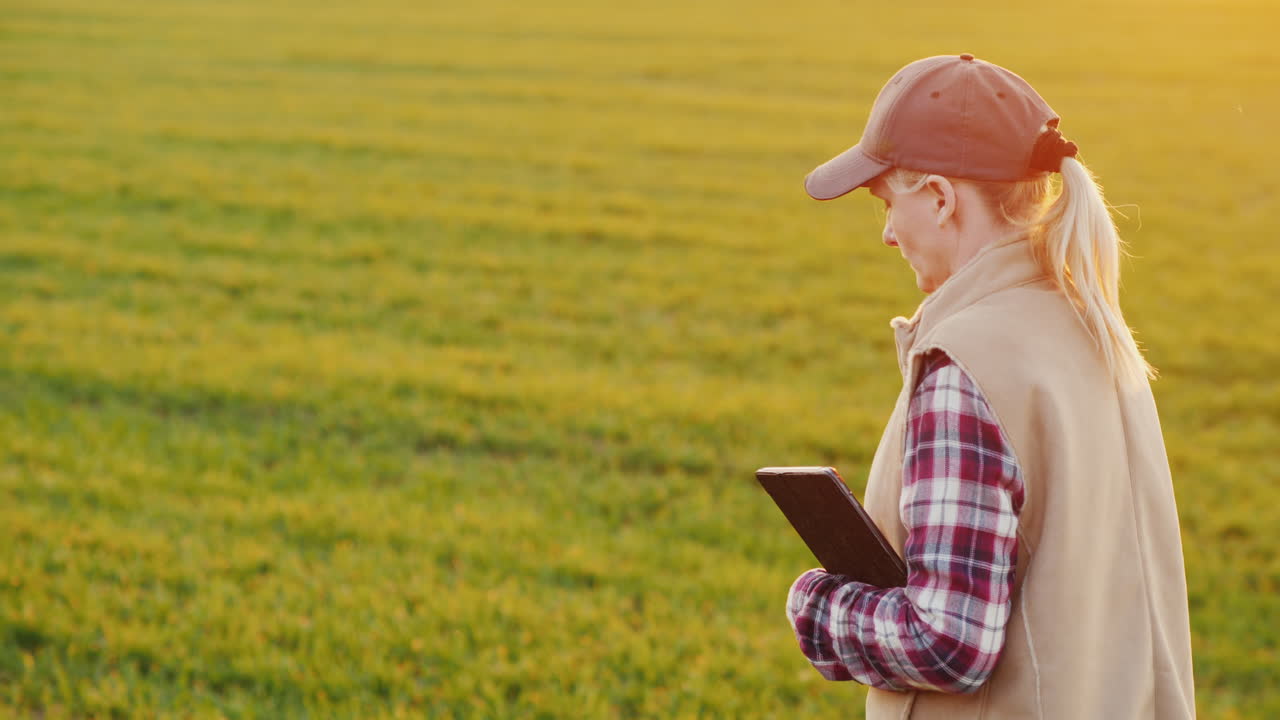 젊은 여성 농부가 태블릿을 들고 밀밭을 걷고 있다