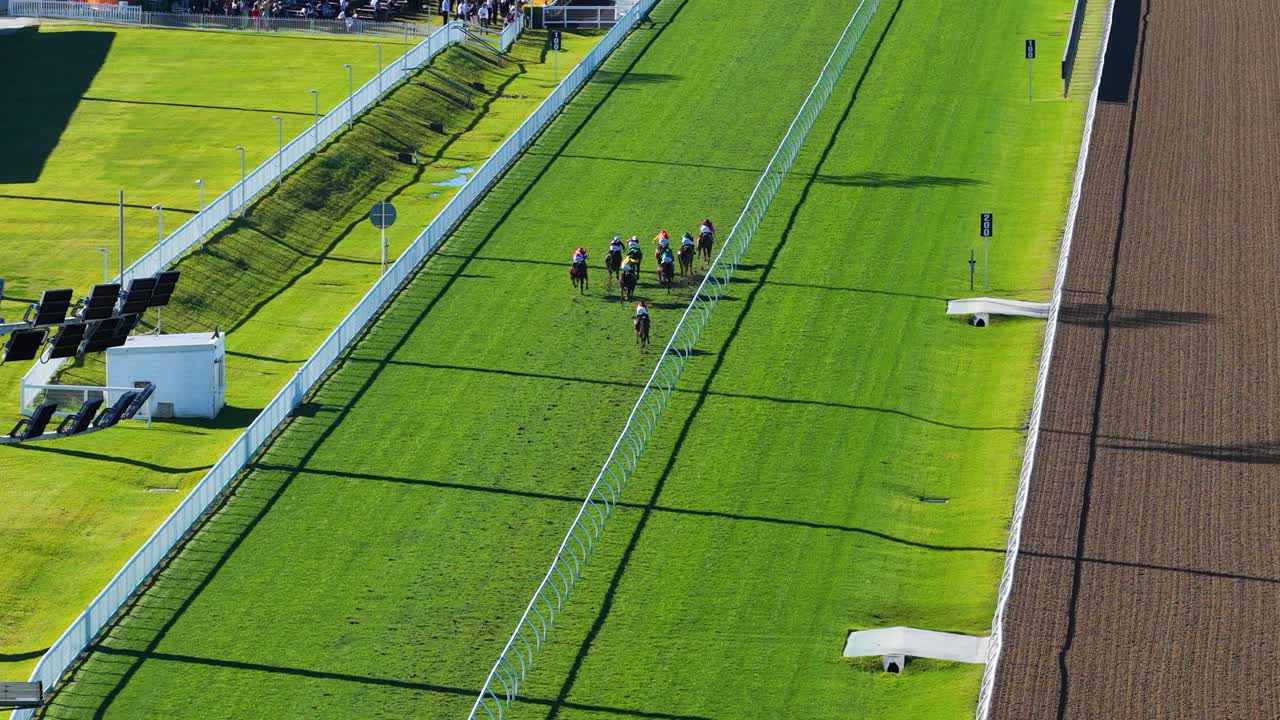 Multiple jockeys ride horses along a green turf racetrack, captured from above in bright daylight with steady drone movement and clear shadows