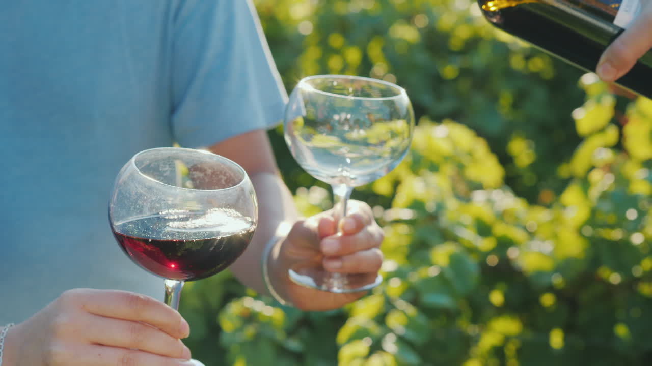 포도 와인 시음의 배경에 안경에 레드 와인을 붓는