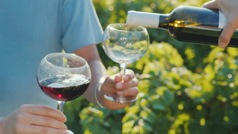 Pouring-Red-Wine-Into-Glasses-On-The-Background-Of-The-Vine-Wine-Tasting