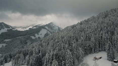 Mountain-peak-tops-in-clouds-in-snowy-landscape-with-trees-and-snow