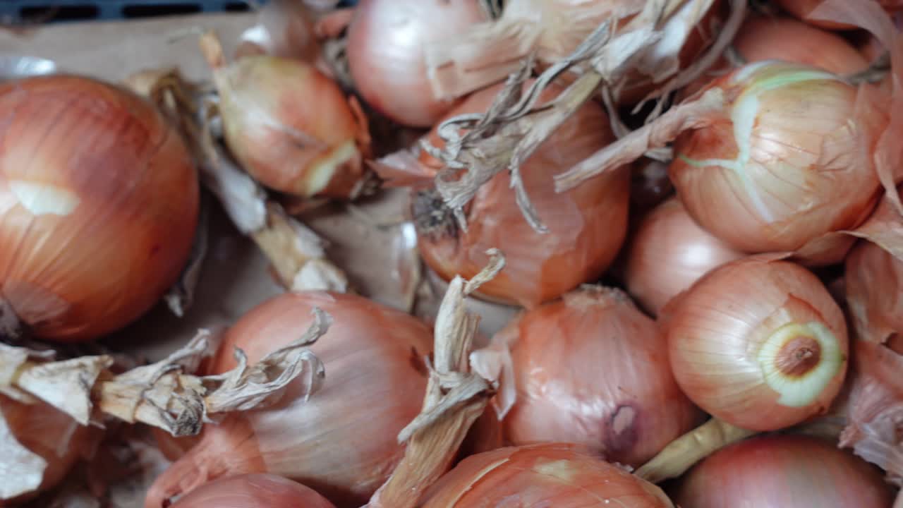 whole yellow onions at the Market