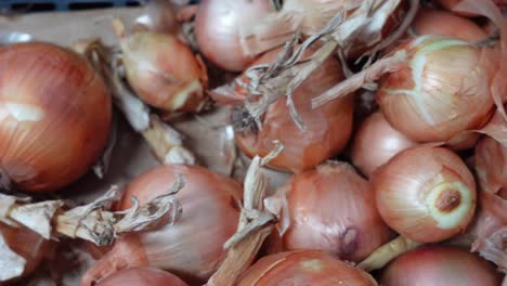 whole yellow onions at the market