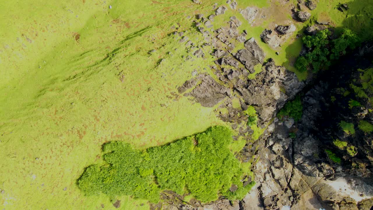 Vista aérea de un paisaje costero verde con costa rocosa y océano