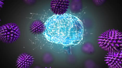 animación digital de múltiples células de covid-19 contra contra el cerebro humano girando sobre un fondo gris
