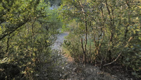 Camino-Con-Pequeñas-Piedras-En-El-Bosque-Descubriendo-Un-Río-Occitania-Francia