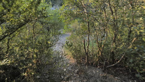 camino con pequeñas rocas en el bosque descubriendo un río occitania francia
