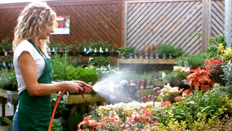 Female-florist-watering-plant-with-water-hose