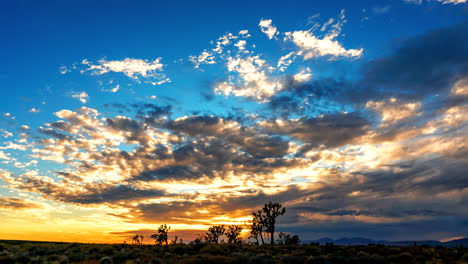 sorprendentemente colorido atardecer en el desierto de mojave más allá de los árboles de joshua - lapso de tiempo de gran angular