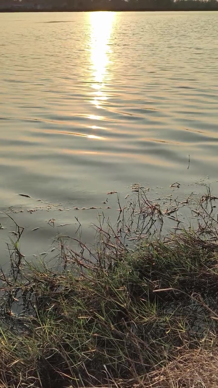 Riflesso dorato del tramonto sulle acque tranquille del lago