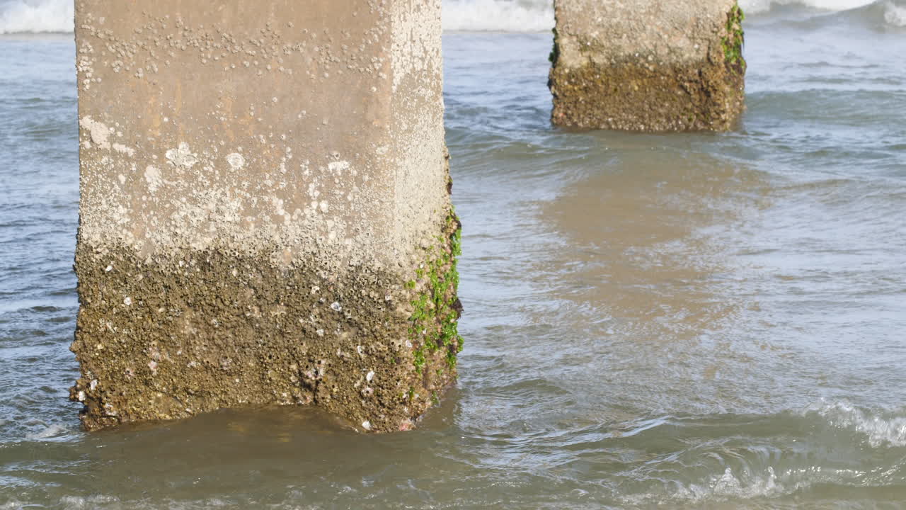Concrete pillars in the sand at the beach, covered in shells, barnacles, and seaweed