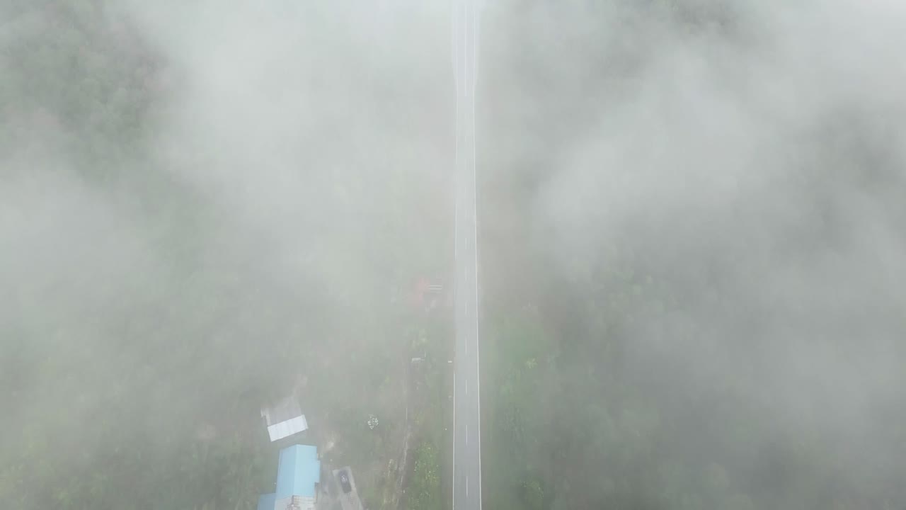 아리엘 드론 뷰 안개가 가득한 아침 해가 지고 푸른 숲이 세메파디 해안 도로 링크 사라와크, 보르네오에 있습니다.