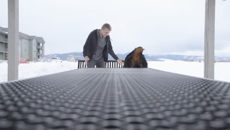 dog jumping off a table