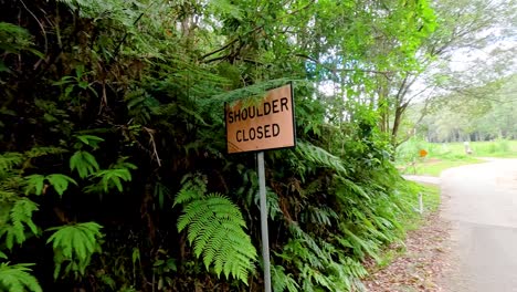 sign indicating closed shoulder on forest road