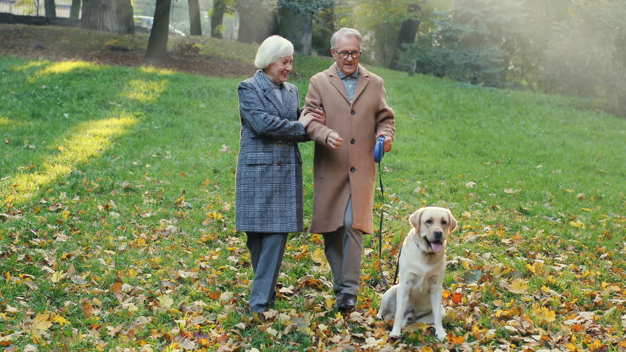 pareja de ancianos caminando con un perro con correa en el parque al atardecer en otoño 1