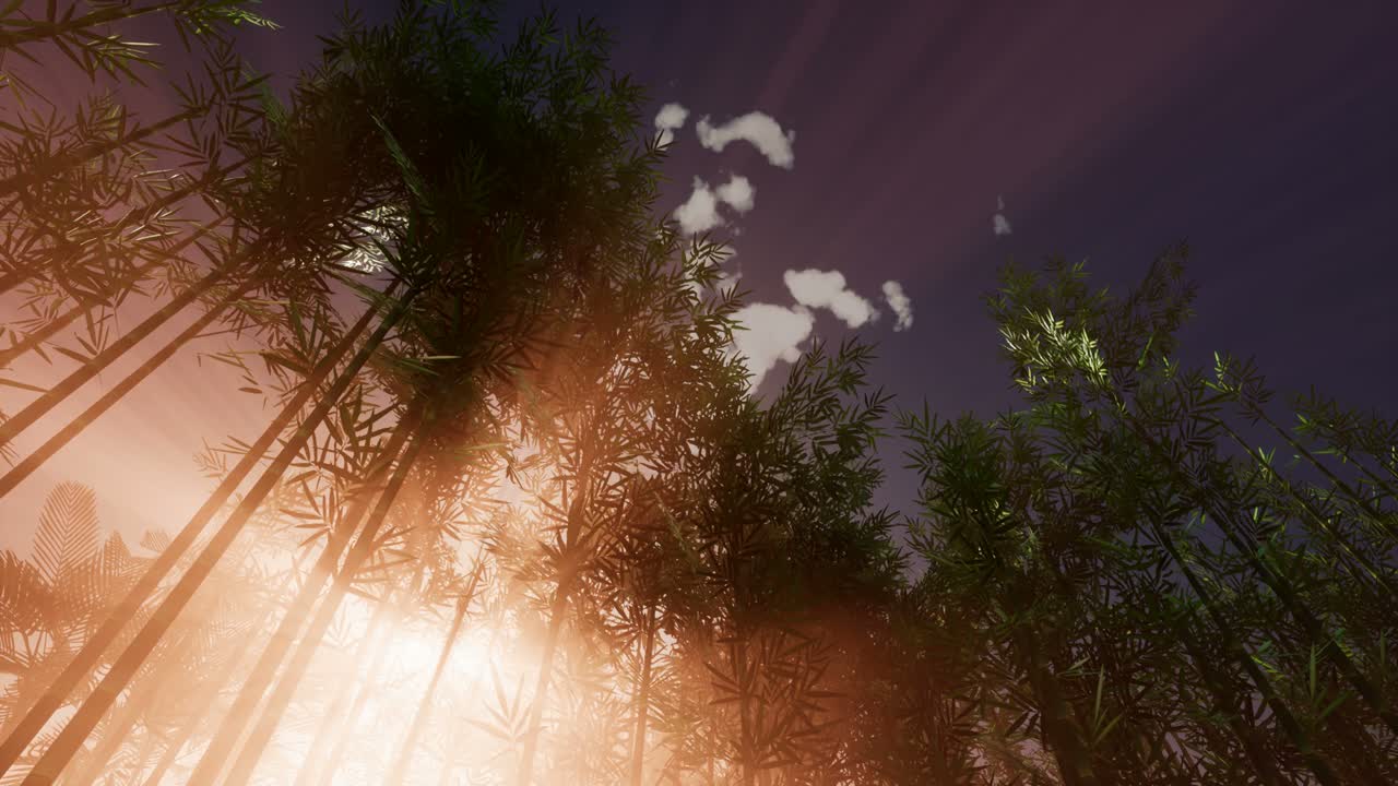 jardín del bosque de bambú