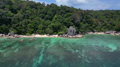 Seychellen-Strand-Palmen-Glatte-Felsen