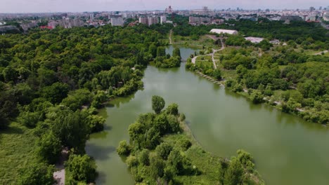 aerial view in the park on a sunny day