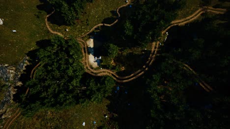 Aerial-view-of-the-road-through-the-forest