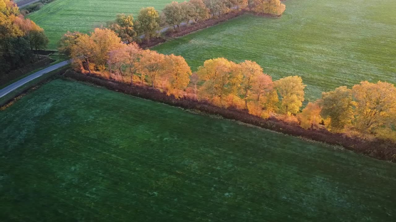 네덜란드 시골의 단풍