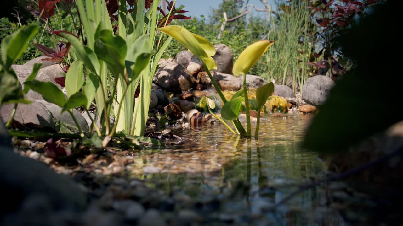 Still water reflects vibrant flowers and garden stones under spring light.