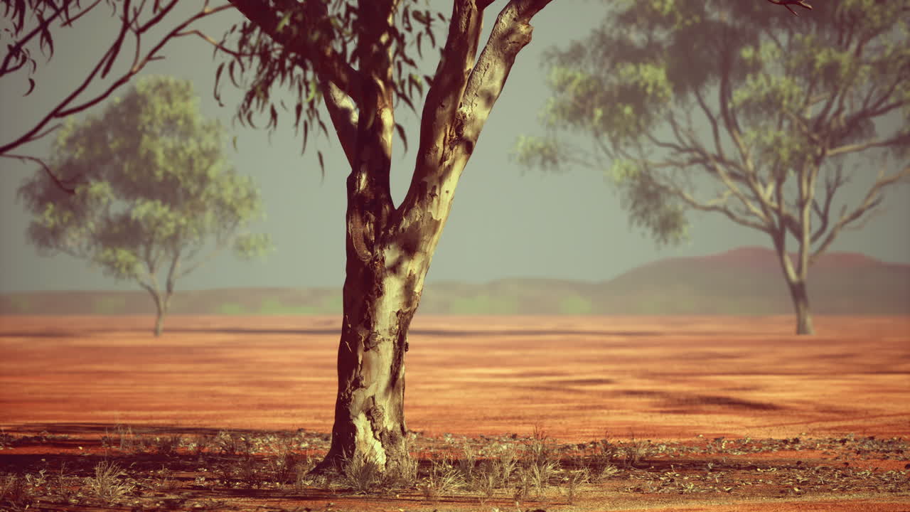 Vast australian outback under a clear blue sky at dusk