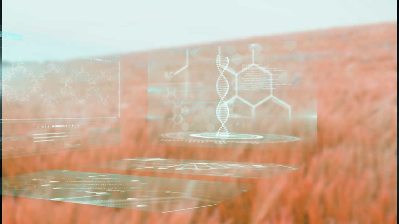 animación de datos científicos y biológicos en pantallas sobre hierba seca