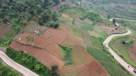 El-Camino-Sinuoso-En-La-Ladera