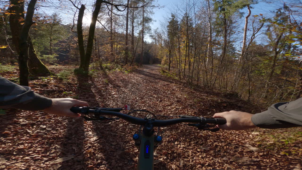 ciclismo de montaña a través del bosque de otoño